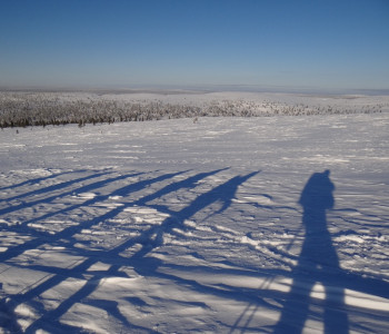 Winterliches Finnisch-Lappland: Unterwegs auf den Spuren des Nordlichts mit Schneeschuhen, Huskies und Rentieren
