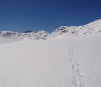 Schneeschuhtour Bivio: 