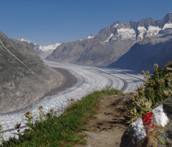 Kurz-Wanderwoche Aletsch: Im Banne des Aletschgletschers
