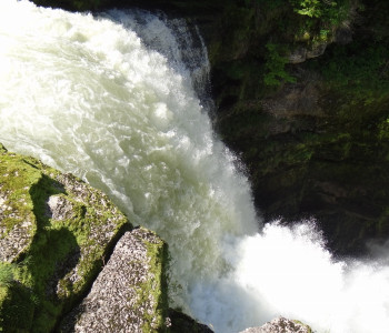 Wanderung Au Fil du Doubs: Flusswanderung durch den abgelegenen Naturpark Doubs