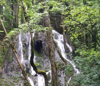 Wanderung Au Fil du Doubs: Flusswanderung durch den abgelegenen Naturpark Doubs