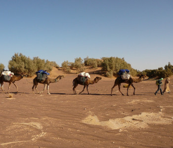 Marokko Sahara Trekking