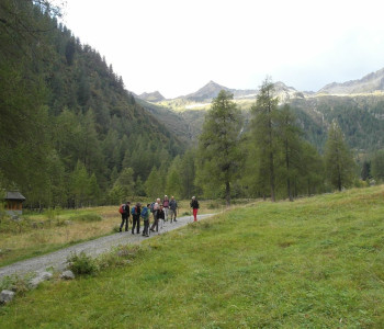 Wandern im südlichen Walserland