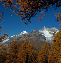Herbstwanderung Rund um Zermatt